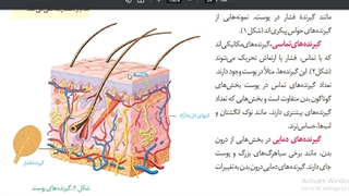 موسسه مشاوره کنکورآرت اراک-تدریس زیست یازدهم-جلسه 16 -فصل 2 (دوم)-امین فراهانی