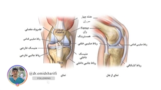 آسیب های ورزشی زانو