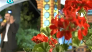 شبکه جهان‌بین چهارمحال