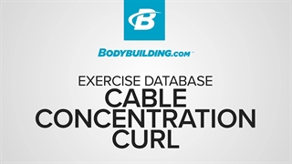 جلو بازو سیم کش تک دست انقباضی Cable Concentration Curl