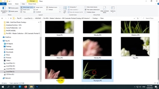 خرید فایل های زیباسازی لایه باز