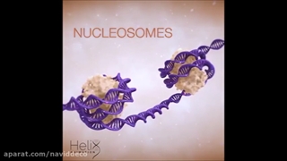 خرید پکیج ژنتیک کنکور+09044686613