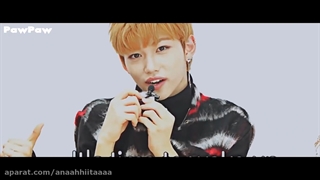 Stray kids MEME song