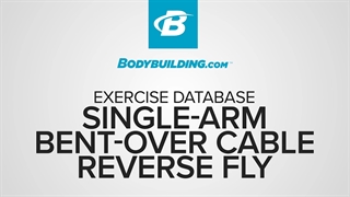 فلای برعکس سیم کش تک دست خم شده Single-Arm Bent-Over Cable Reverse Fly