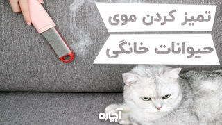 چگونه موی حیوانات خانگی را تمیز کنیم؟ | آچاره