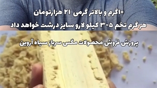 فروش تخم مگس سرباز سیاه پرورشی کسب کار BSFL