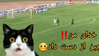 این تمیروف گل نزن!