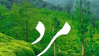 مرد غیرت اقتدار زن عفت افتخار