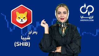معرفی ارز شیبا و خرید آن در صرافی ارزپایا