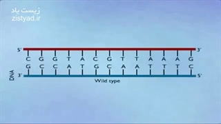 انیمیشن مفهومی جهش! +09044686613 پکیج ژنتیک کنکور