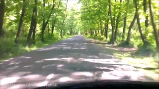 علی زند وکیلی فصل زرد