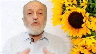 انتقام از خود