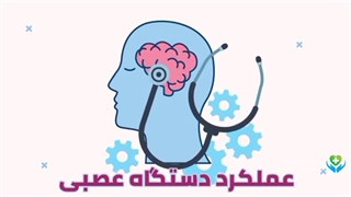 هشت خوراکی که سیستم اعصاب شما را قوی می کند