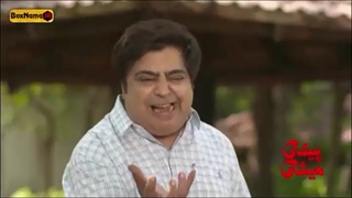 پیشی میشی و گربه های لاکچری! دانلود فیلم کمدی و طنز پیشی میشی بهاره رهنما