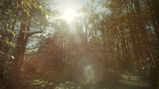 مردگان متحرک فصل11 قسمت 19