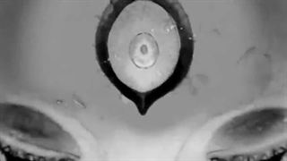 اوپنینگ (opening) سیزدهم 13 انیمه زیبای Black Clover - شبدر سیاه