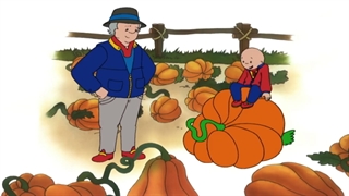 کارتون انگلیسی کایلو (Caillou)