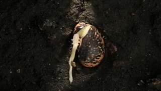 نماهنگ مفهومی رسانه دانش‌ جویان