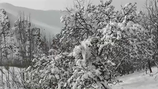 زمستان بام ایران زمین