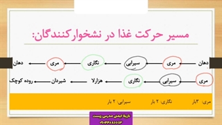 تدریس خیلی مفهومی معده گاو! نازیلا ایمنی مدرس زیست 09044686613 لیزر مو