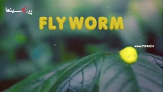 انیمیشن کوتاه "کرم مگس انداز" (Flyworm Short Animation)