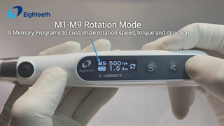 اندوموتور/ endomotor