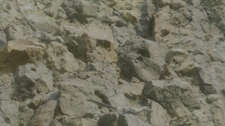 مستند سیاره ماقبل تاریخ قسمت 3 (2022)