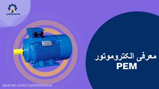 الکتروموتور چینی pem - یکتاصنعت