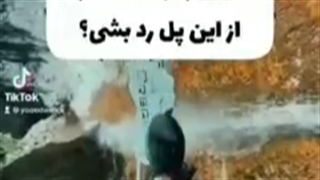 چالش تیک تاک