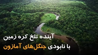 آینده تلخ کره زمین با نابودی جنگل های آمازون