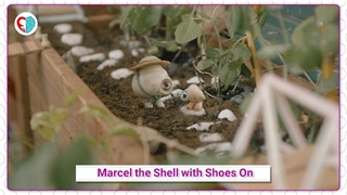 تیزر انیمیشن خارجی جذاب Marcel the Shell with Shoes On - حس یاد