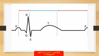 تدریس خفن الکتروکاردیوگرام + 09044686613 تدریس خصوصی زیست