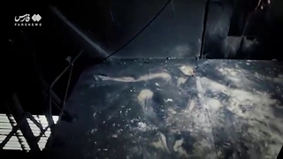 شکست فرار / تصاویر دوربین های مداربسته زندان اوین!