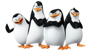 انیمیشن پنگوئن های ماداگاسکار Penguins of Madagascar 2014