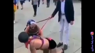 کرامت امریکایی