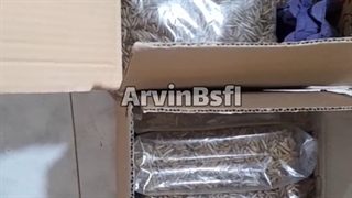 قیمت لارو مگس سرباز سیاه