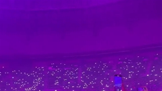 کنسرت بورن پینک