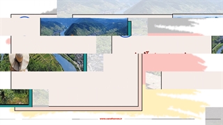 گروه مهاجرتی سون استار