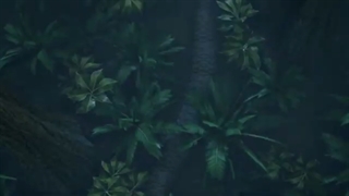 TOP 10 BIGGEST Animals Of All Time