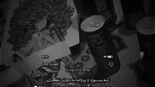 لطفاً فالو کند