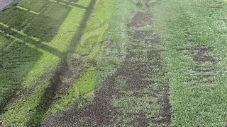 تزریق سیلیس و گرانول زمین چمن مصنوعی