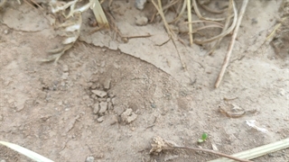 حیاط کوچک دانشگاه