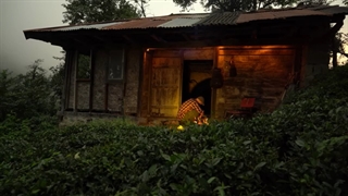 تنها زندگی کردن در روستایی که برای یک سده تهی از باشنده بوده است است  - گذران زندگی در دل زاستار