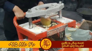 استقبال از زائرین امام رضا علیه السلام