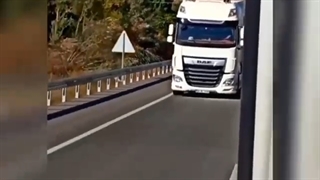 رخ سلطان در جاده!