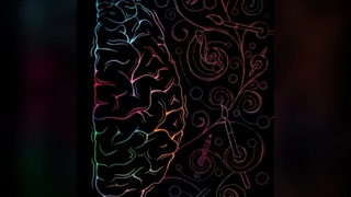 دلِ من در هوایِ روی فَرُّخ