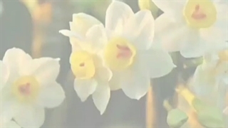 نماهنگ کوتاه: گناه من در انتظار تو نشستنه