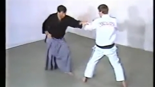 [Jiu-jitsu] WJJF 1986 VHS Syllabus - Purple Belt