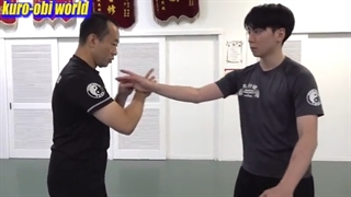 فشار دست کنگ فو، تکنیک خطرناکی که با لمس حریف شروع می شود! - زیرنویس فارسی