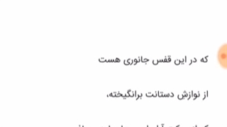 و حسرتی...احمد شاملو